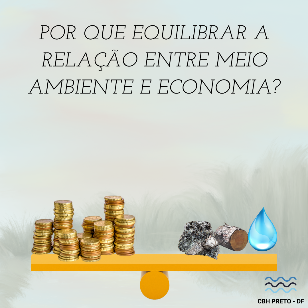 Meio Ambiente x Economia