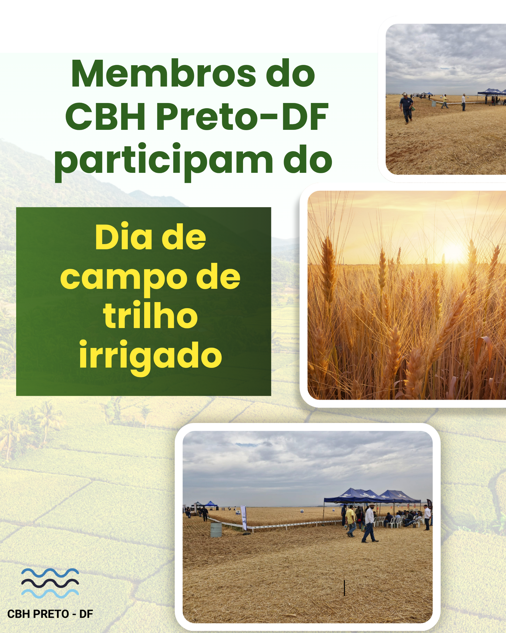 Dia do trigo